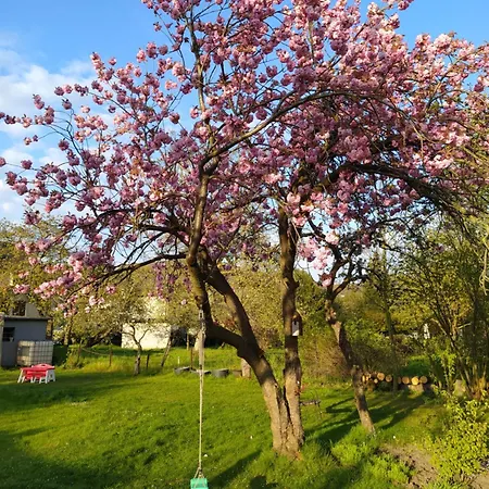 Gemuetliches Mit Kueche, Wifi Und Smart-tv In * Hamm (North Rhine-Westphalia)