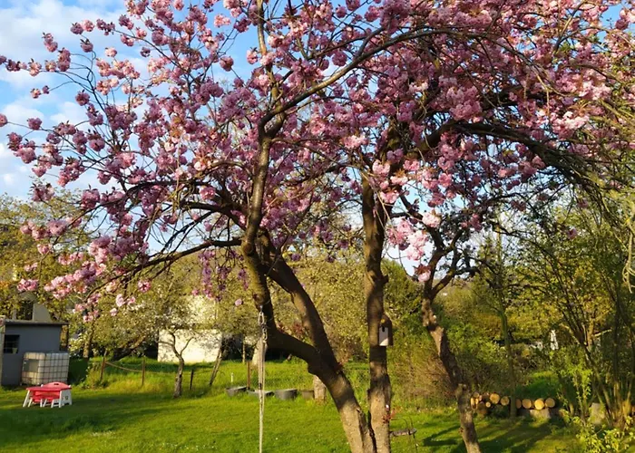 Gemuetliches Mit Kueche, Wifi Und Smart-tv In * Hamm (North Rhine-Westphalia)